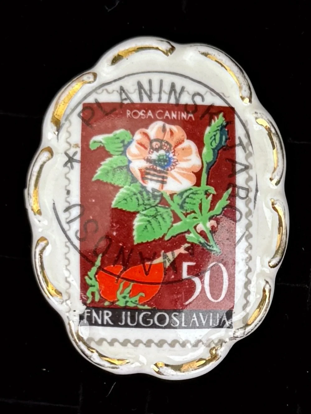 Vintage Yugoslavia Rosa Canina Postage Stamp Botanical Brooch Dual Prong